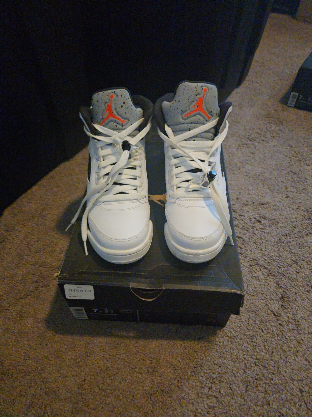 Air Jordan 5